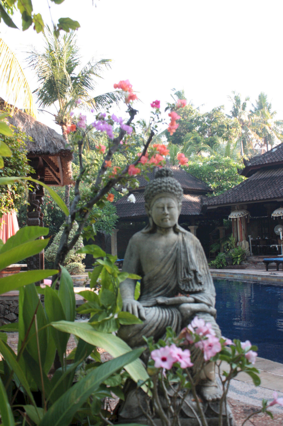 Rambutan Hotel Lovina Exterior foto